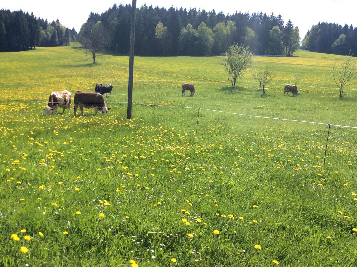 Ferienbauernhof Koller Villa Helfenberg Kültér fotó
