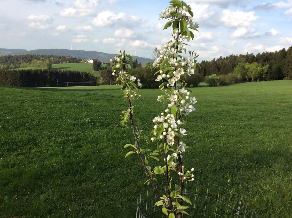 Ferienbauernhof Koller Villa Helfenberg Kültér fotó