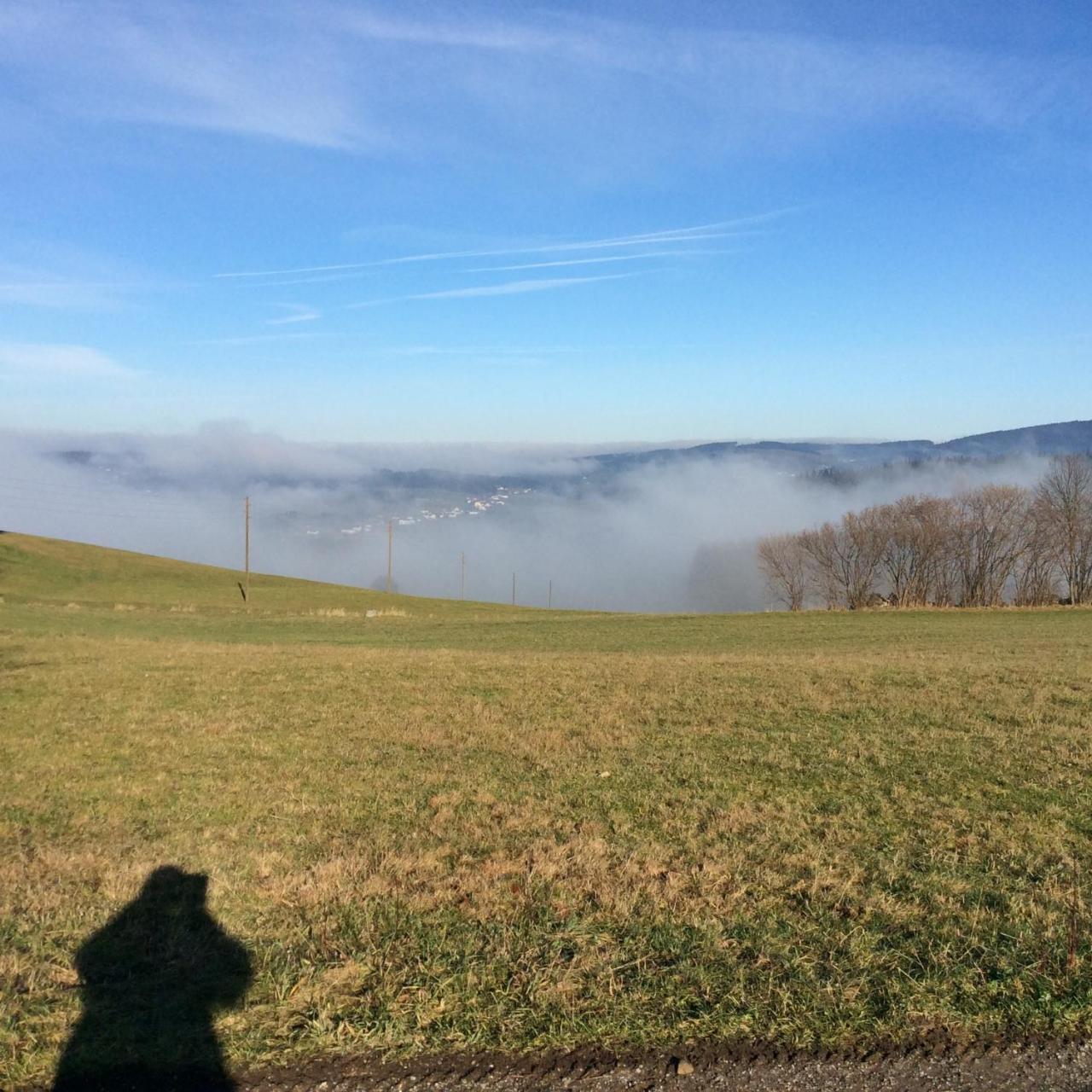 Ferienbauernhof Koller Villa Helfenberg Kültér fotó