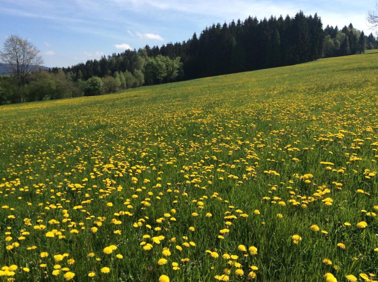 Ferienbauernhof Koller Villa Helfenberg Kültér fotó