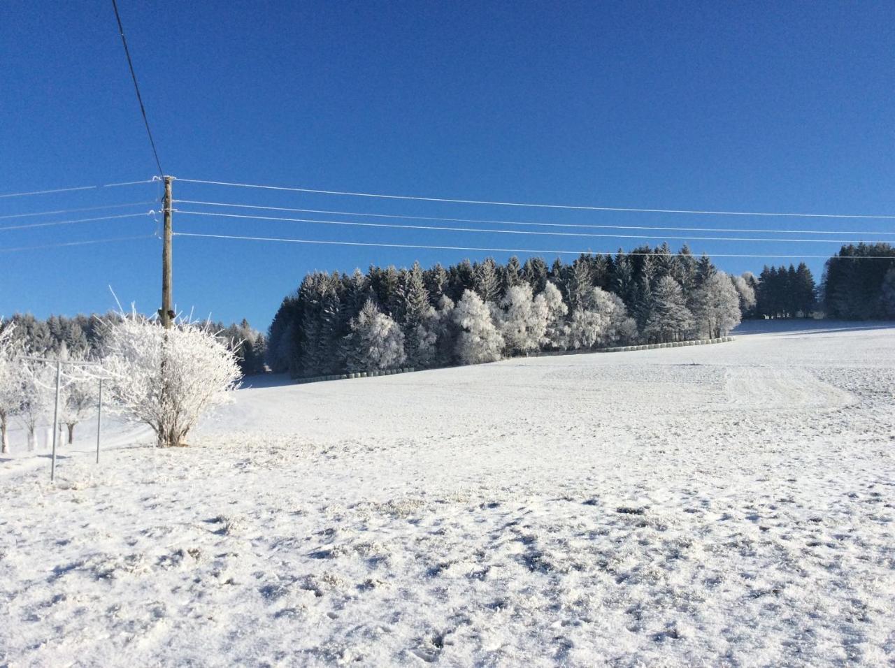 Ferienbauernhof Koller Villa Helfenberg Kültér fotó