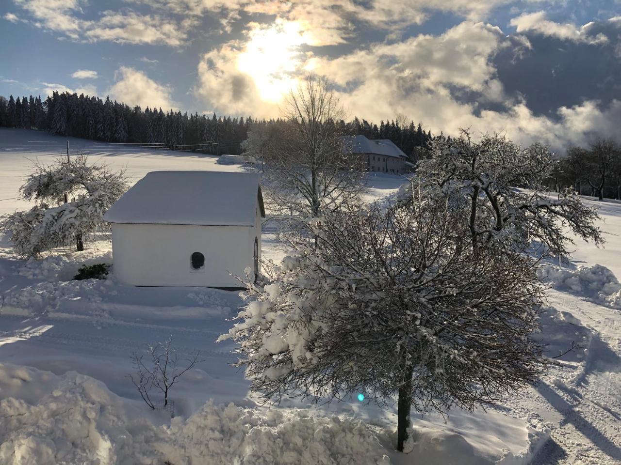 Ferienbauernhof Koller Villa Helfenberg Kültér fotó